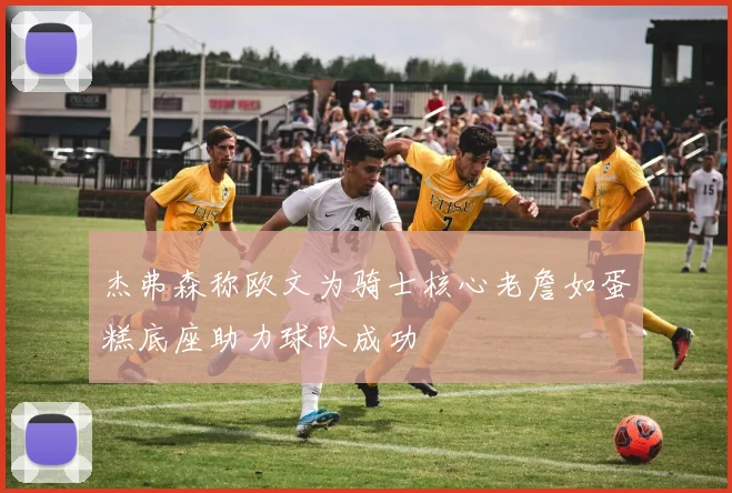 杰弗森称欧文为骑士核心老詹如蛋糕底座助力球队成功